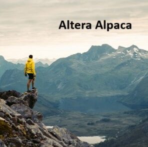 {{brizy_dc_image_alt entityId=